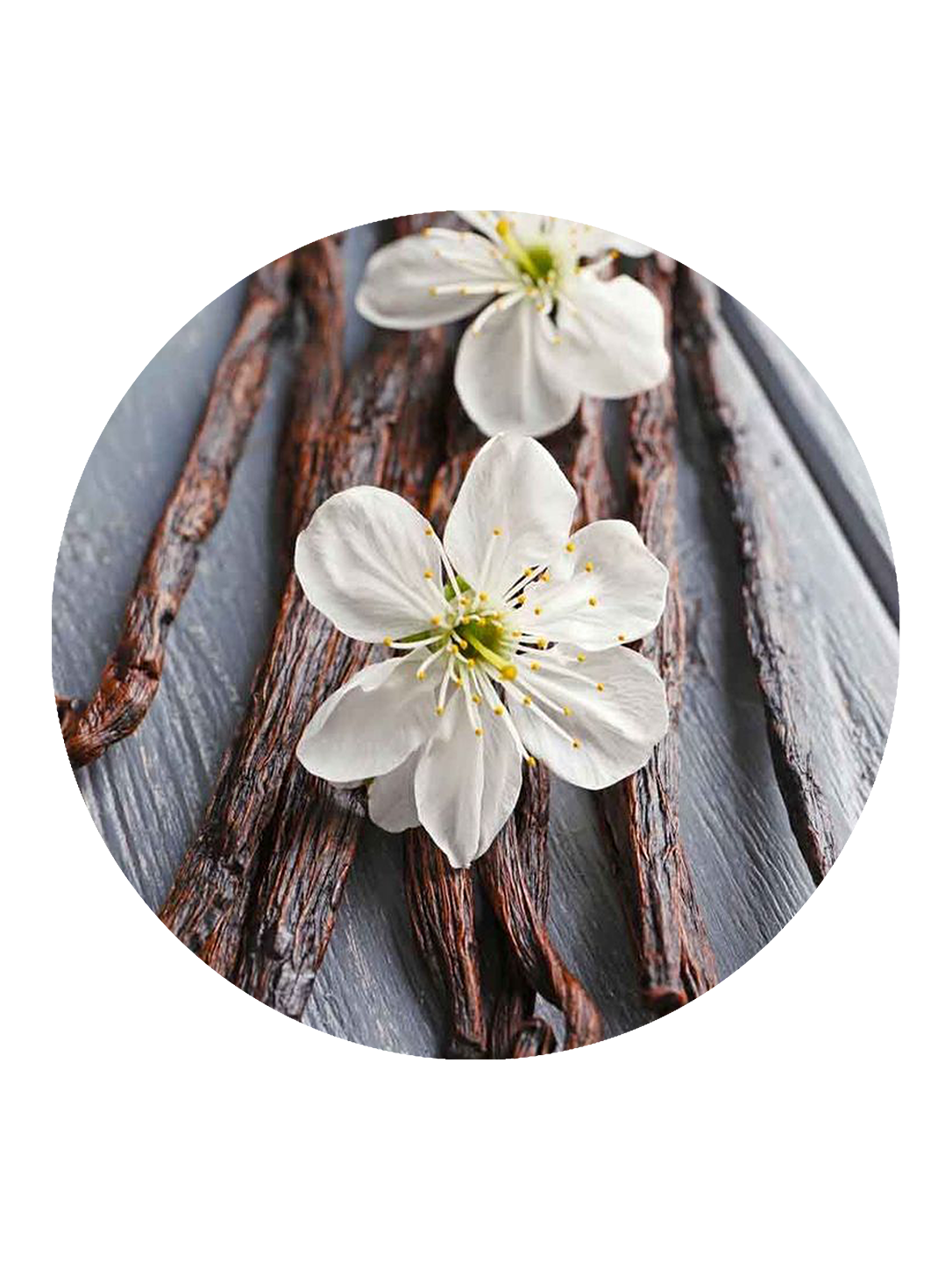 Fragranza vaniglia con fiore di vaniglia su sfondo